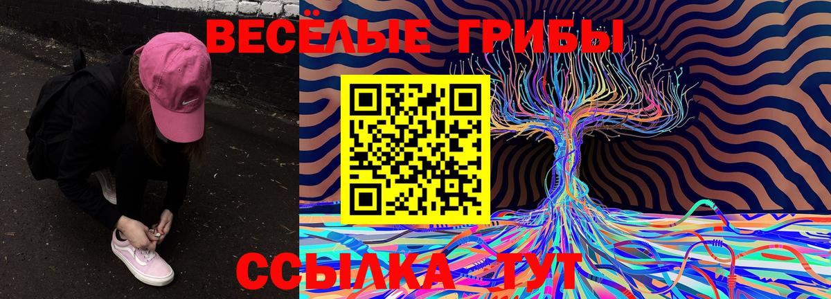 Галлюциногенные грибы GOLDEN TEACHER  Вход с VPN  Псилоцибиновые грибы Psilocybine cubensis  Тверь 